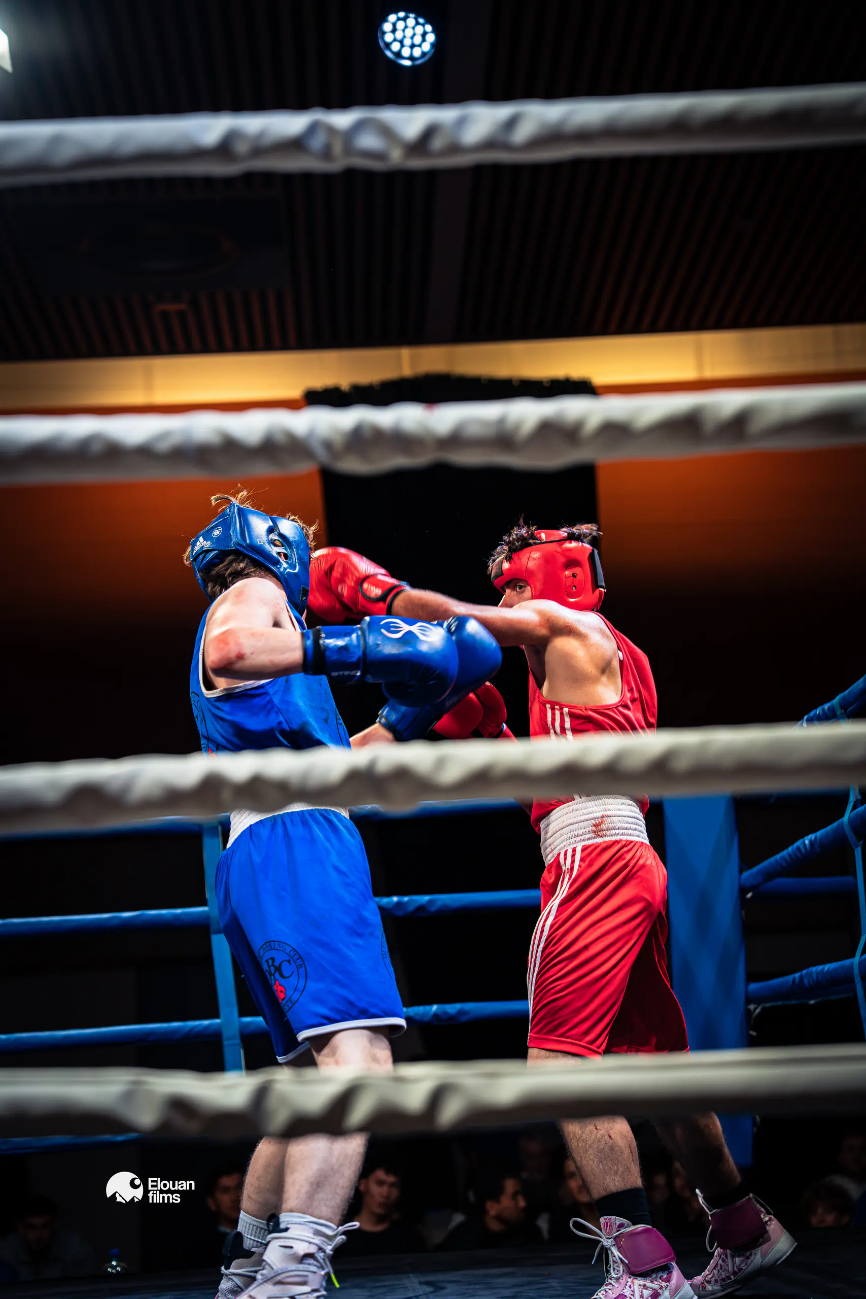 Gala de Boxe — Échange de coups entre deux boxeurs