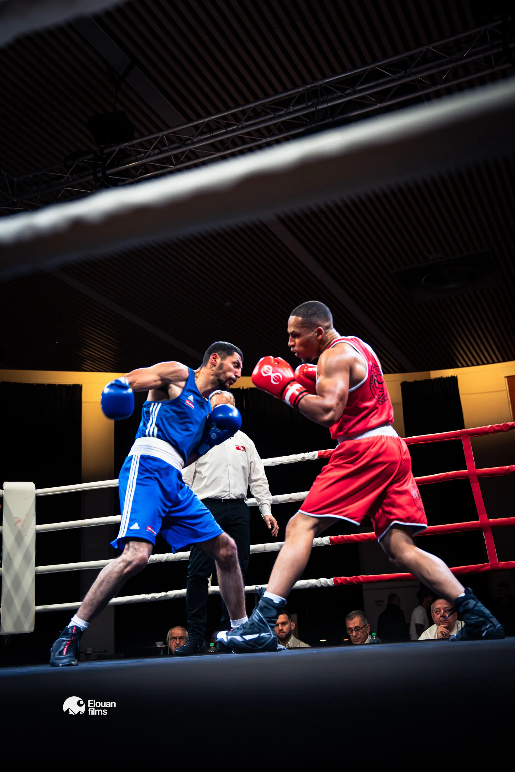 Gala de Boxe — Action sur le ring sous les projecteurs