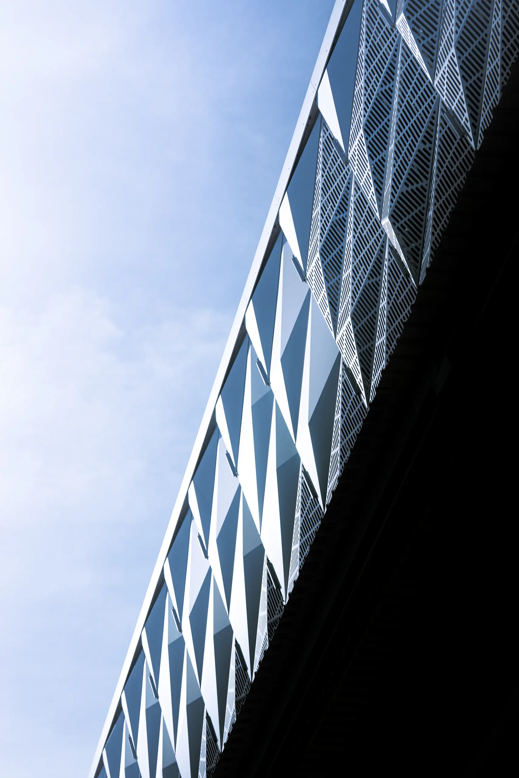 Impulse Sports Festival — Ambiance festive